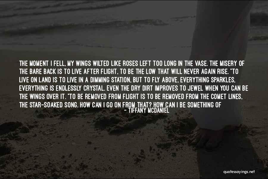 Tiffany McDaniel Quotes 207468 Tiffany McDaniel Quotes 207468
