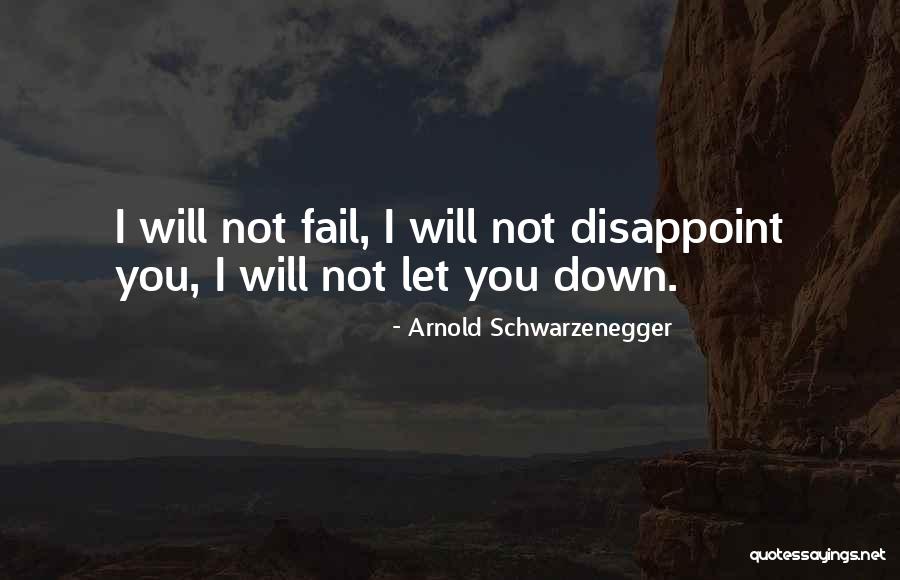 Tiffany Ray Quotes By Arnold Schwarzenegger Tiffany Ray Quotes By Arnold Schwarzenegger
