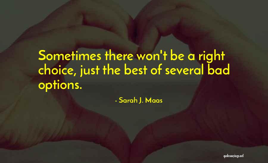 Tiffins For Sale Quotes By Sarah J. Maas Tiffins For Sale Quotes By Sarah J. Maas