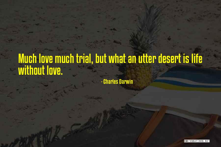 Tifni Towns Quotes By Charles Darwin Tifni Towns Quotes By Charles Darwin