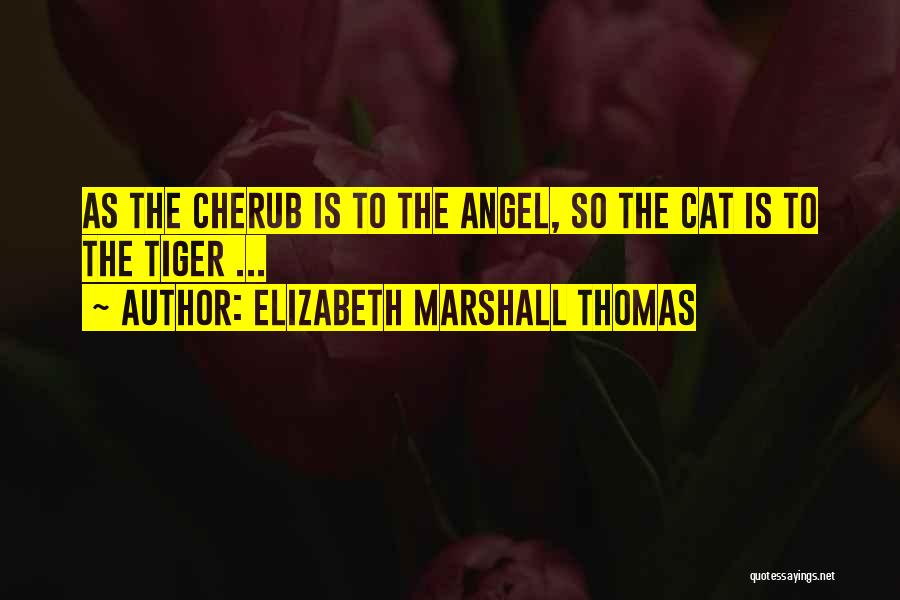 Tiger Cat Quotes By Elizabeth Marshall Thomas