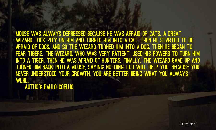 Tiger Cat Quotes By Paulo Coelho