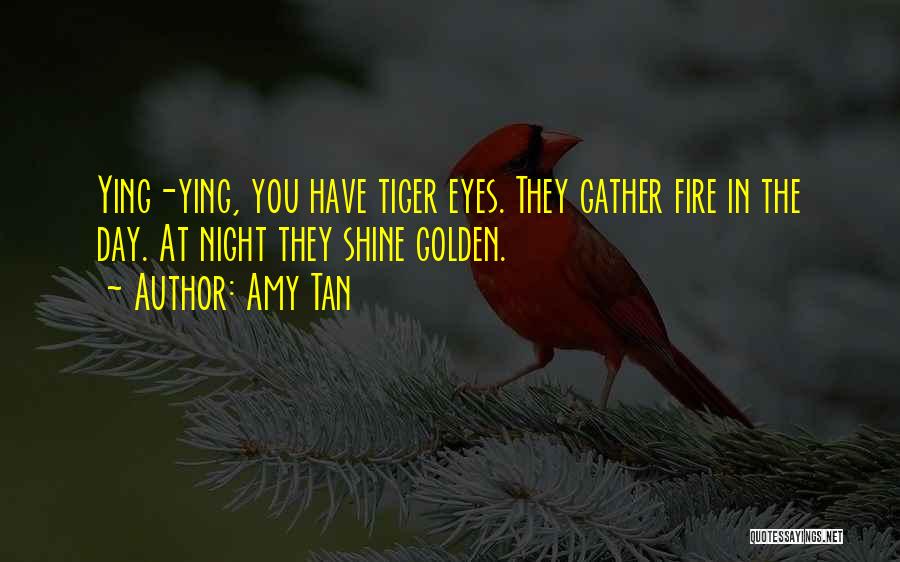 Tiger Eyes Quotes By Amy Tan