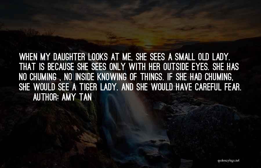 Tiger Eyes Quotes By Amy Tan