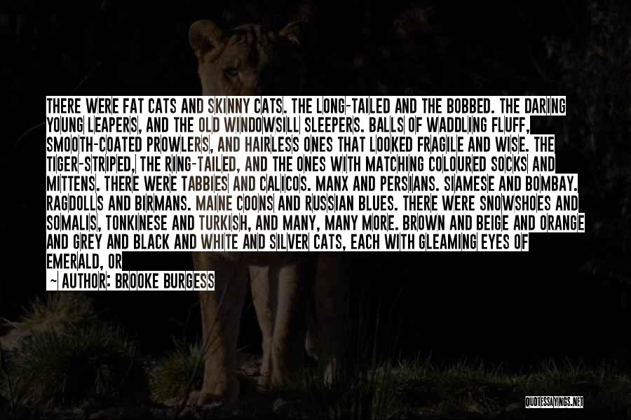Tiger Eyes Quotes By Brooke Burgess