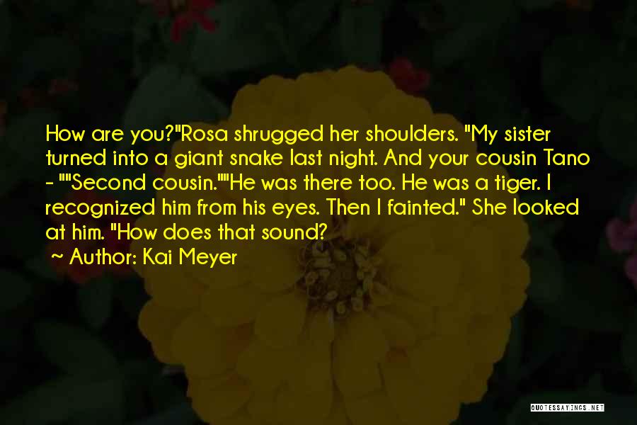 Tiger Eyes Quotes By Kai Meyer