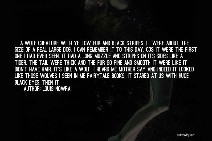 Tiger Eyes Quotes By Louis Nowra