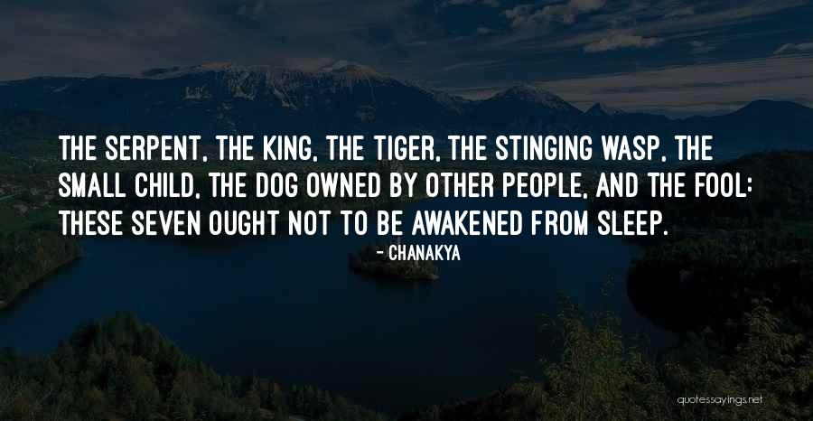 Tiger King Quotes By Chanakya Tiger King Quotes By Chanakya