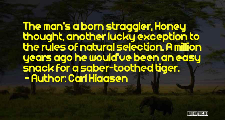 Tiger Man Quotes By Carl Hiaasen