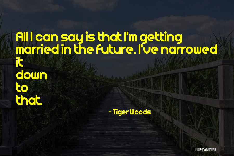 Tiger Tiger Quotes By Tiger Woods Tiger Tiger Quotes By Tiger Woods