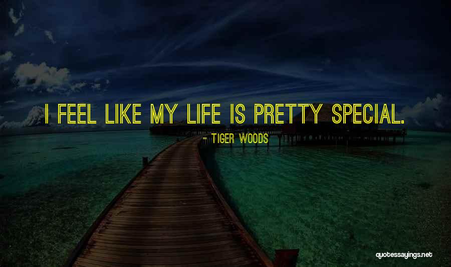 Tiger Woods Quotes 1699411