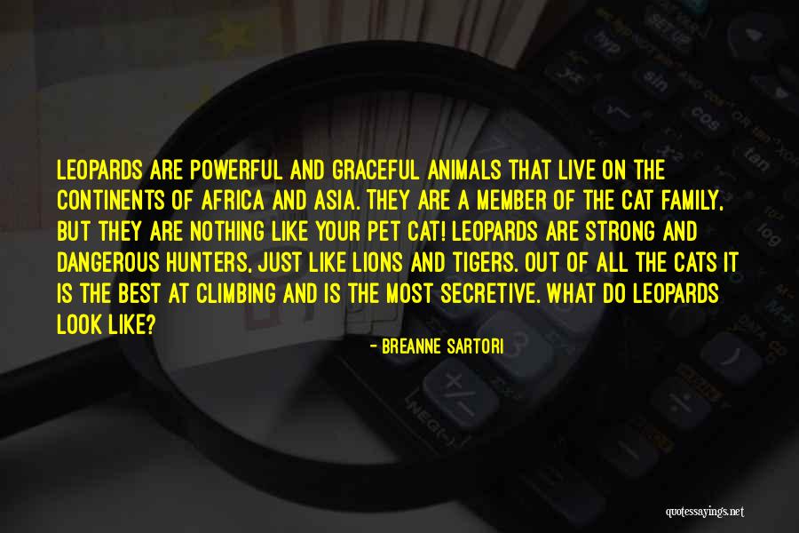 Tigers And Lions Quotes By Breanne Sartori Tigers And Lions Quotes By Breanne Sartori