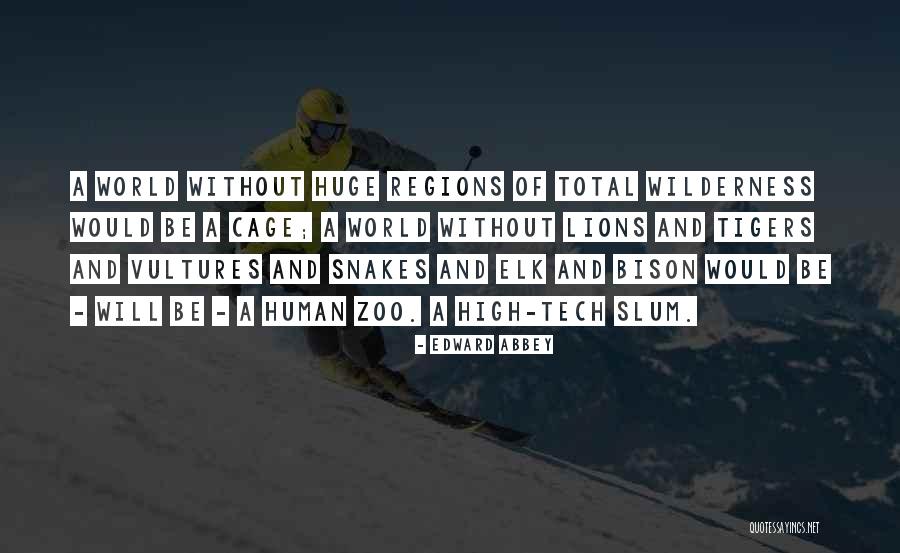 Tigers And Lions Quotes By Edward Abbey Tigers And Lions Quotes By Edward Abbey