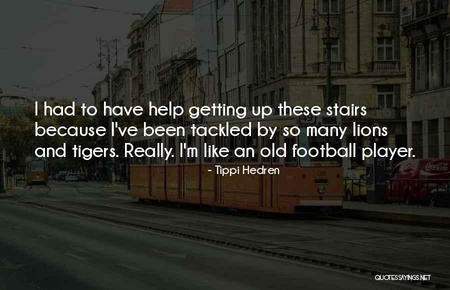 Tigers And Lions Quotes By Tippi Hedren Tigers And Lions Quotes By Tippi Hedren
