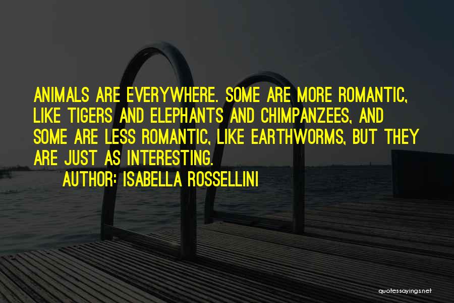 Tigers Quotes By Isabella Rossellini