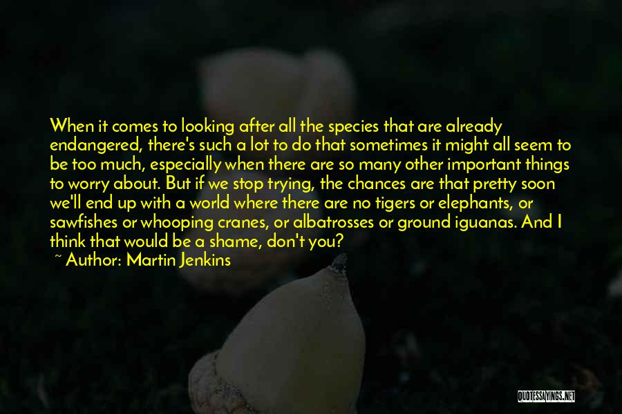 Tigers Quotes By Martin Jenkins