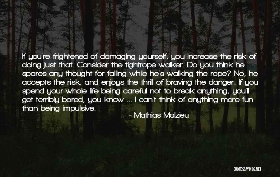 Tightrope Walking Quotes By Mathias Malzieu