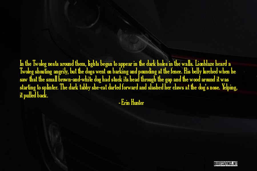 Tigrovi Tame Quotes By Erin Hunter Tigrovi Tame Quotes By Erin Hunter