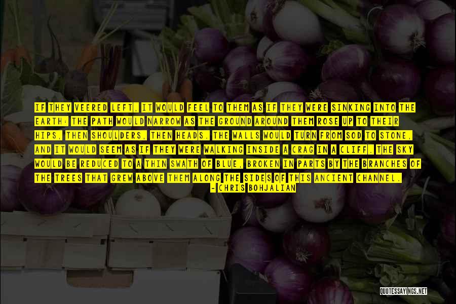 Tiivistyminen Quotes By Chris Bohjalian Tiivistyminen Quotes By Chris Bohjalian