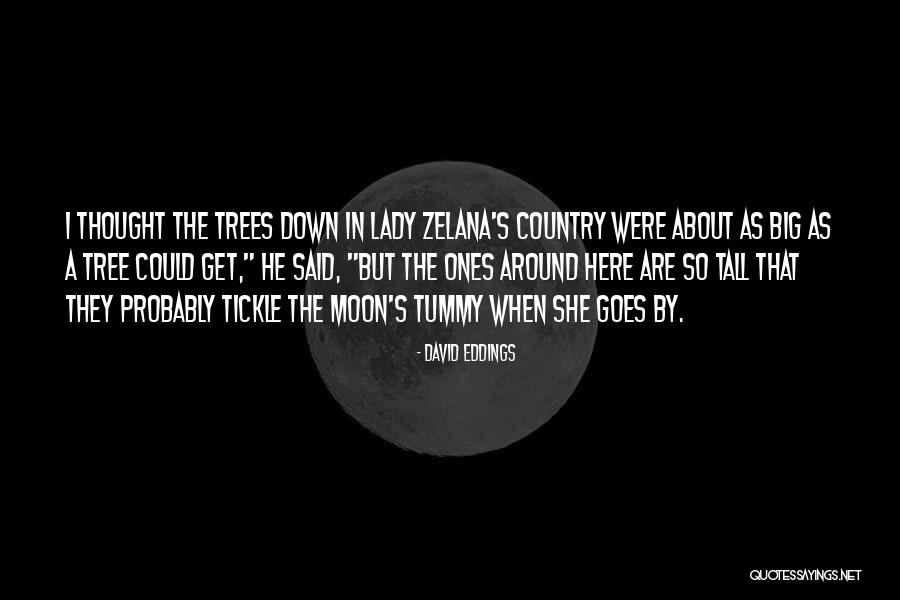Tijen Turetgen Quotes By David Eddings Tijen Turetgen Quotes By David Eddings
