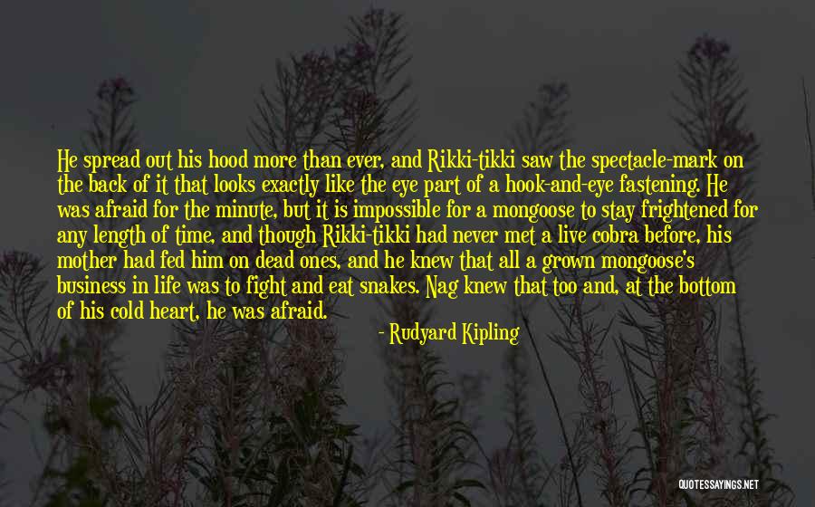 Tikki Quotes By Rudyard Kipling Tikki Quotes By Rudyard Kipling