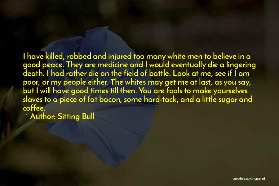 Till Death Quotes By Sitting Bull