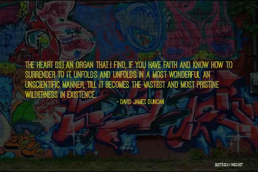 Till I Find You Quotes By David James Duncan Till I Find You Quotes By David James Duncan