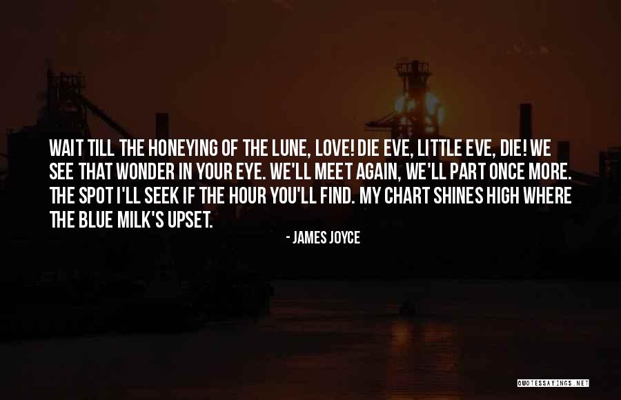 Till I Find You Quotes By James Joyce Till I Find You Quotes By James Joyce