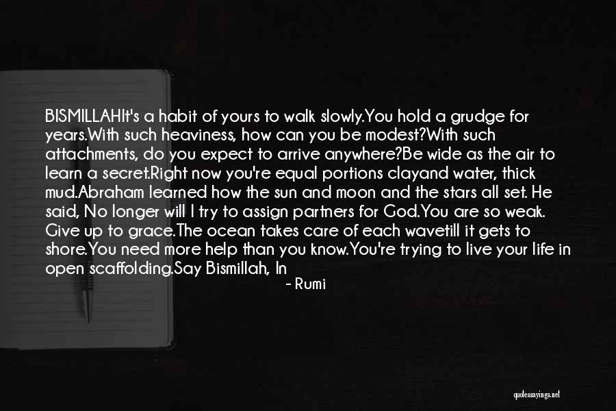 Till I Find You Quotes By Rumi Till I Find You Quotes By Rumi