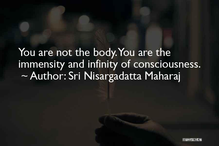 Till Infinity Quotes By Sri Nisargadatta Maharaj