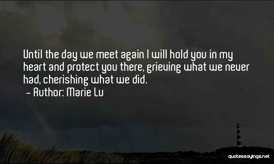 Till The Day We Meet Again Quotes By Marie Lu