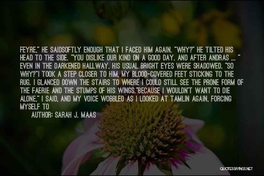 Till We Meet Again Death Quotes By Sarah J. Maas