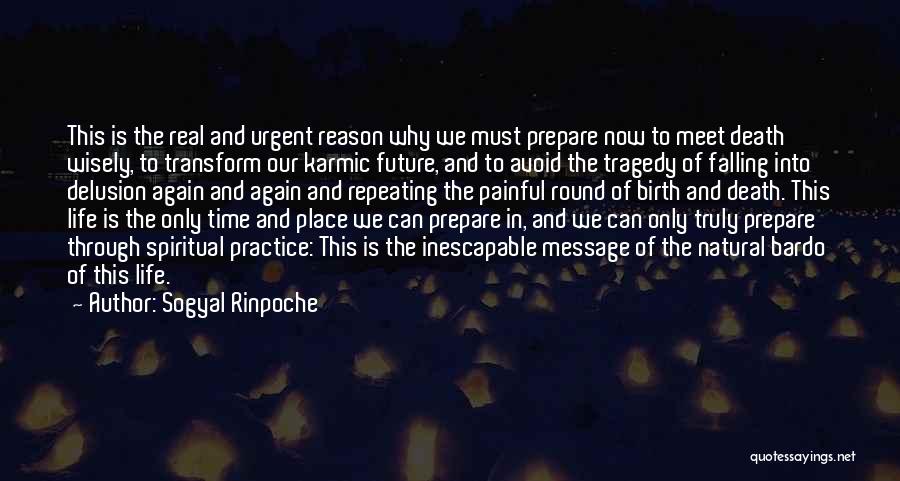 Till We Meet Again Death Quotes By Sogyal Rinpoche