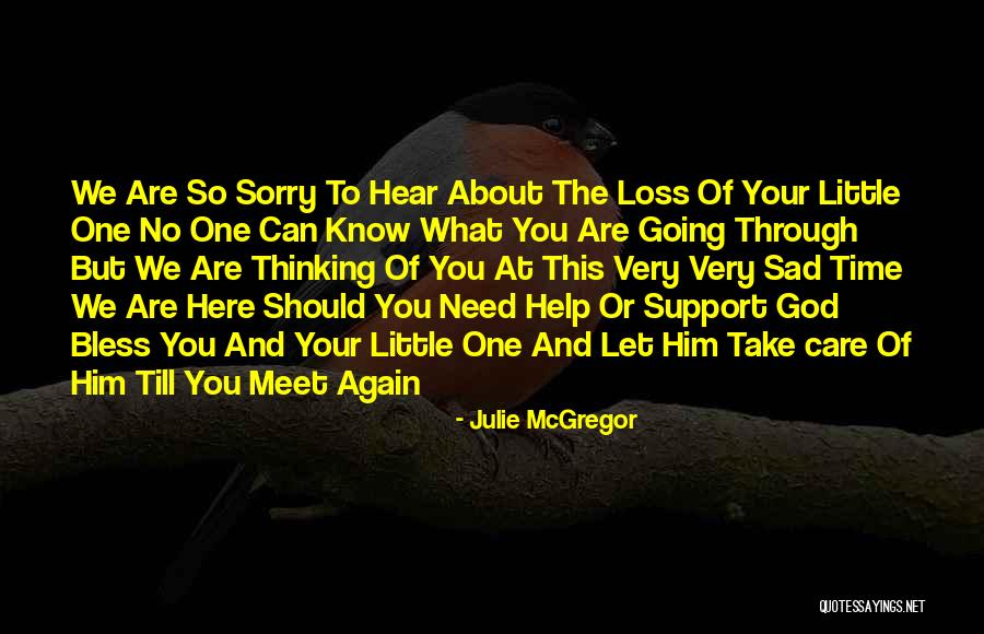 Till We Meet Again Quotes By Julie McGregor