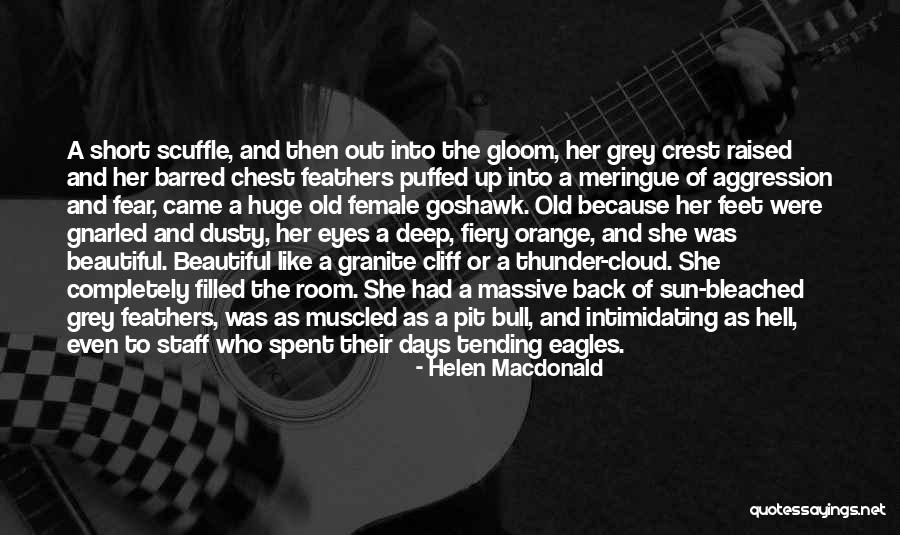 Tilladt For Alle Quotes By Helen Macdonald Tilladt For Alle Quotes By Helen Macdonald