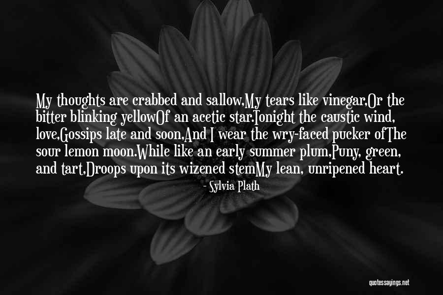 Tilladt For Alle Quotes By Sylvia Plath Tilladt For Alle Quotes By Sylvia Plath