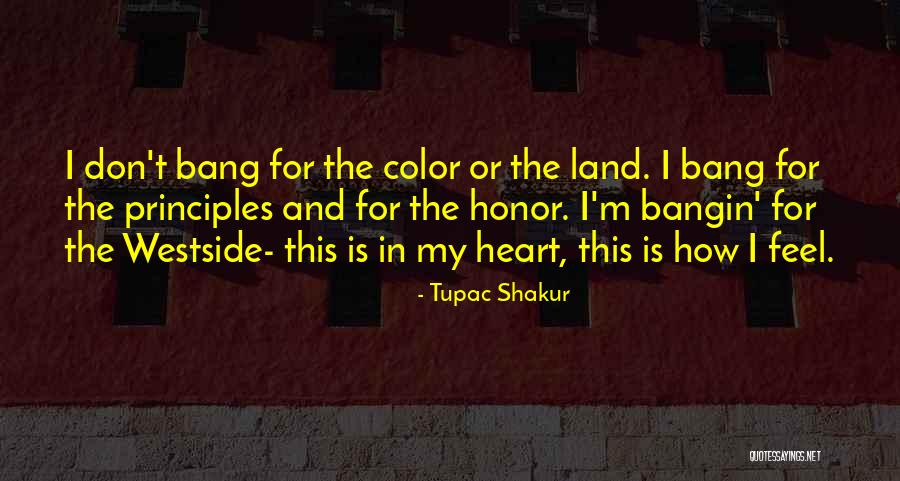 Tillyard Chain Quotes By Tupac Shakur Tillyard Chain Quotes By Tupac Shakur