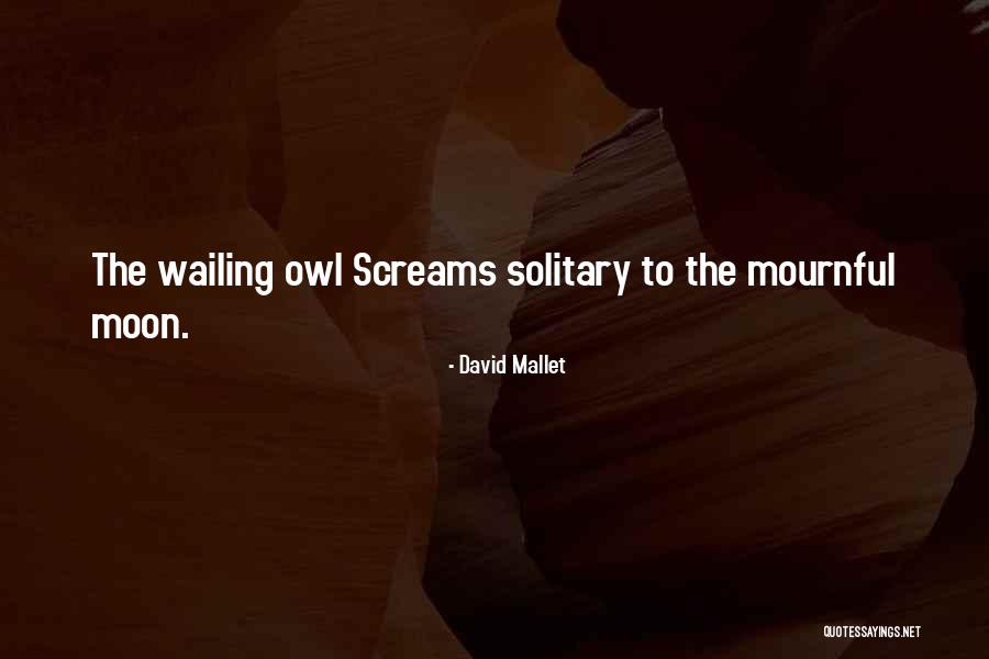 Tillyer Lodge Quotes By David Mallet Tillyer Lodge Quotes By David Mallet