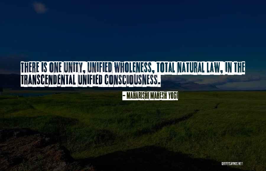 Tilt At Windmills Quotes By Maharishi Mahesh Yogi Tilt At Windmills Quotes By Maharishi Mahesh Yogi