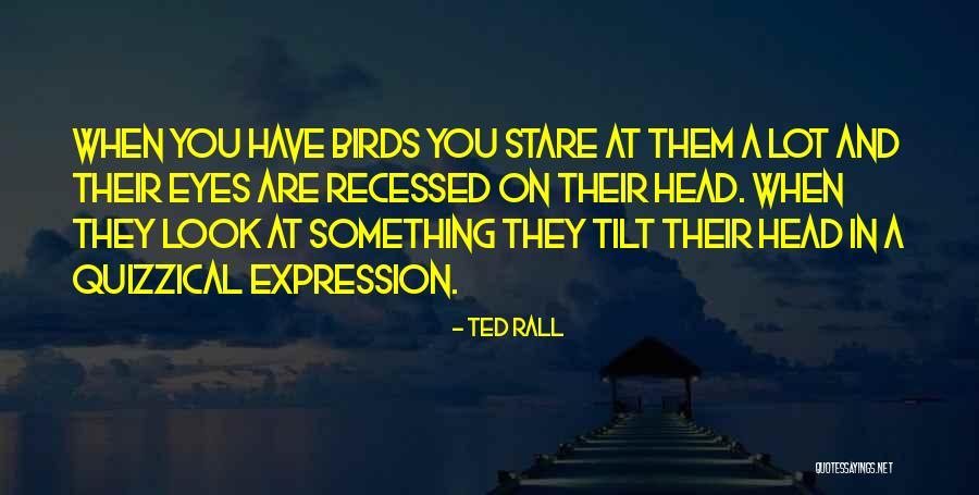 Tilt Your Head Quotes By Ted Rall Tilt Your Head Quotes By Ted Rall