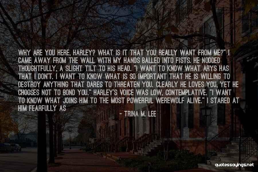 Tilt Your Head Quotes By Trina M. Lee Tilt Your Head Quotes By Trina M. Lee