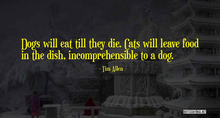 Tim Allen Quotes 151769 Tim Allen Quotes 151769