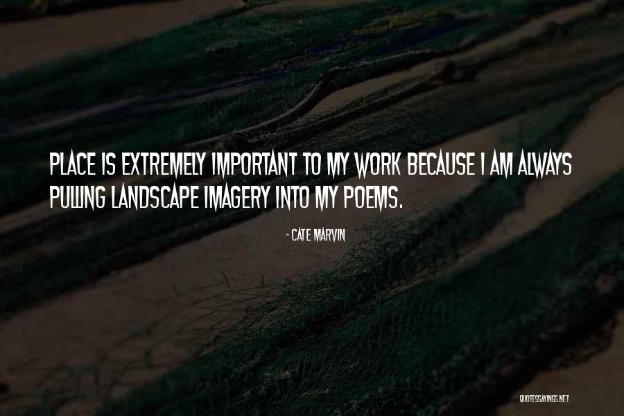 Tim Benzidrino Quotes By Cate Marvin Tim Benzidrino Quotes By Cate Marvin