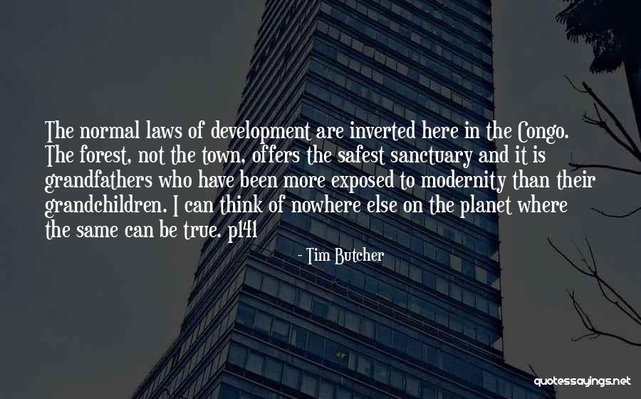 Tim Butcher Quotes 482458