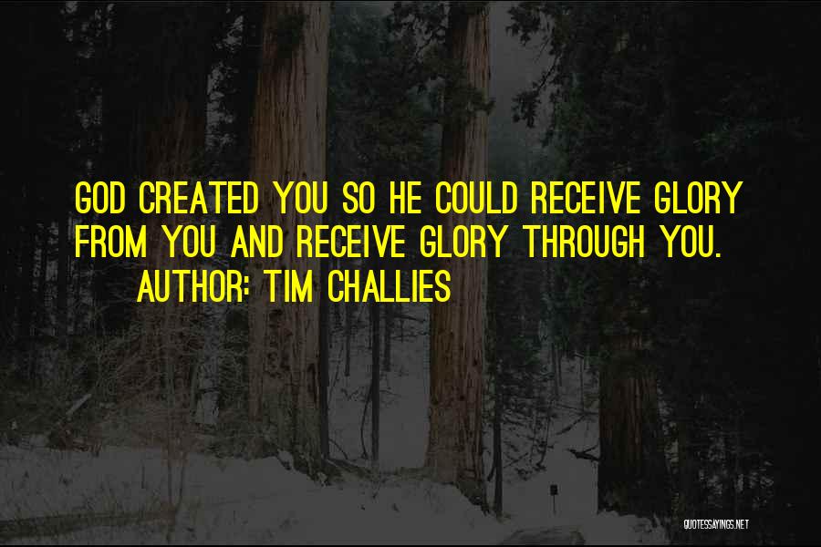 Tim Challies Quotes 687981