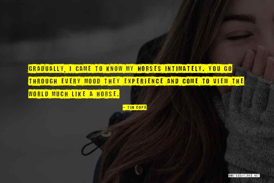 Tim Cope Quotes 2253795 Tim Cope Quotes 2253795
