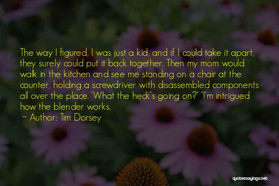 Tim Dorsey Quotes 1671603