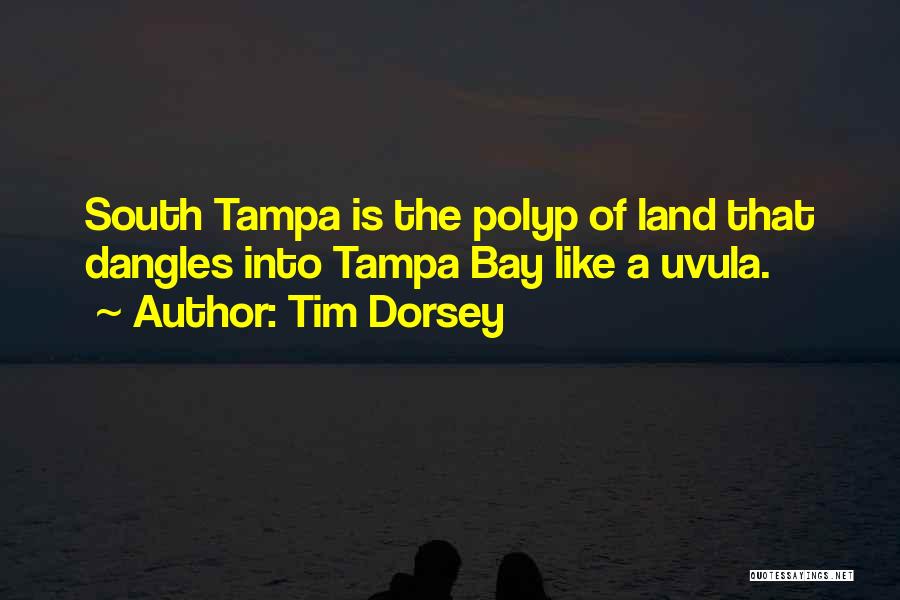 Tim Dorsey Quotes 575063