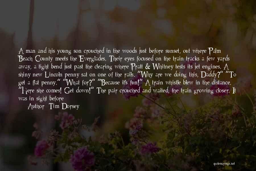 Tim Dorsey Quotes 833206