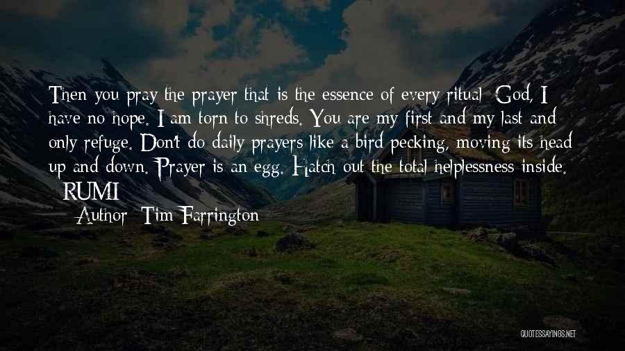 Tim Farrington Quotes 2145004